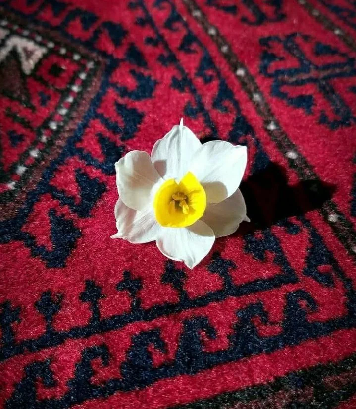 مهمان نوازی امام زمان (عج) و حق نانونمک ایشان